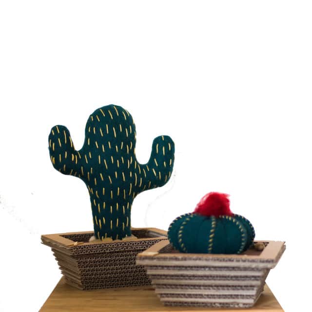 cactus classico feltro
