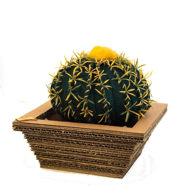 cactus feltro cuscino della suocera